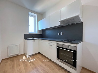 Pronájem bytu 1+1 41 m²