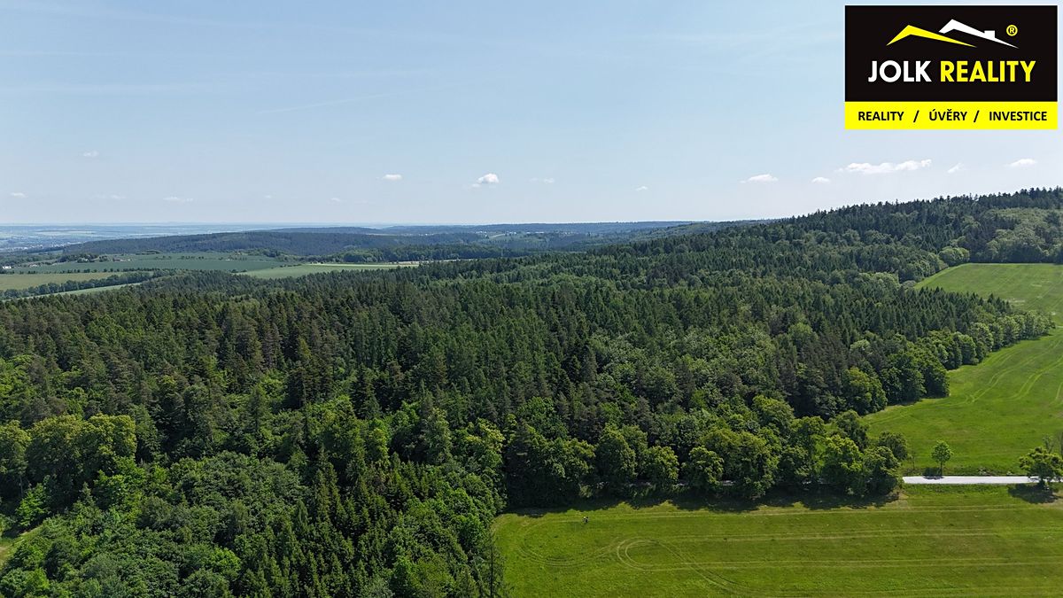 Prodej lesa 13182 m² – fotografie 2
