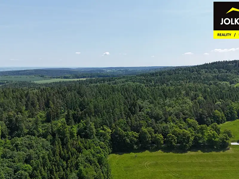 Prodej lesa 13182 m², Vršovice – náhled fotky 2