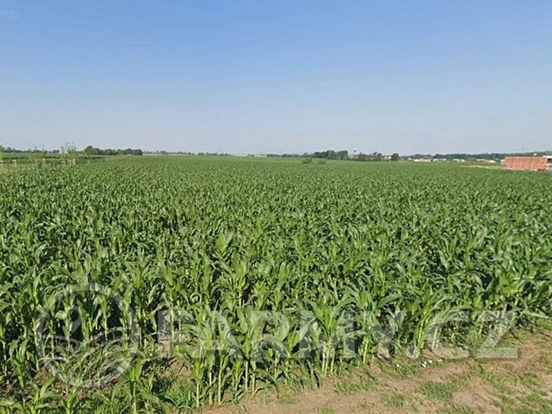 Prodej pole 21298 m²