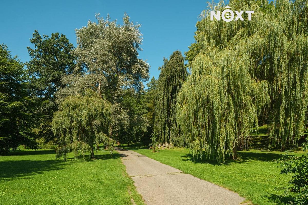 Pronájem bytu 1+kk 28 m² – fotografie 5
