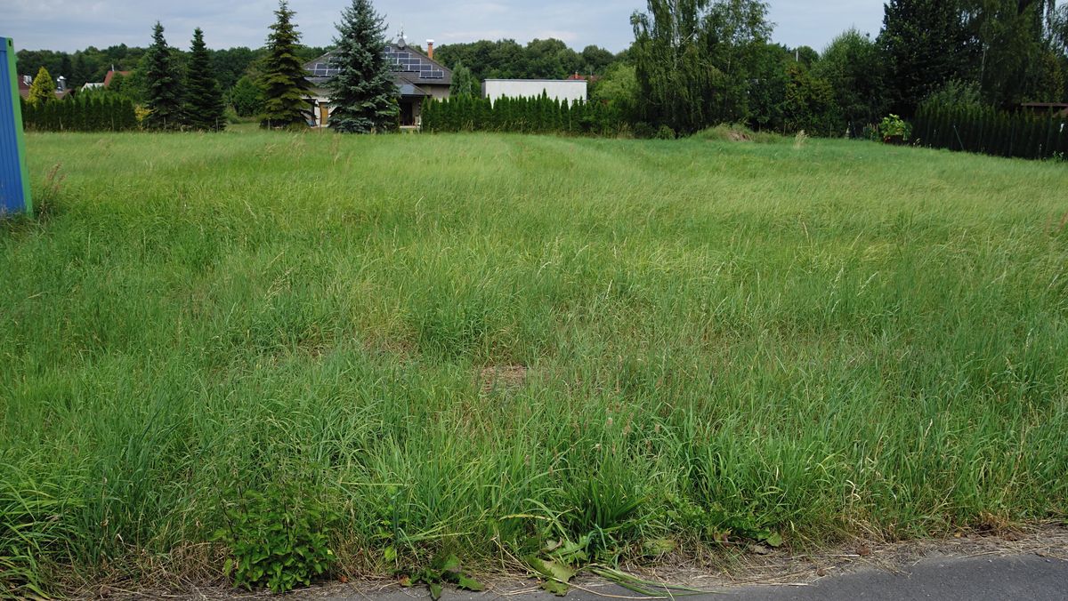 Prodej stavebního pozemku 1454 m² – fotografie 3