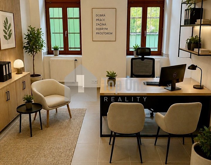 Prodej komerčního prostoru, 135 m² (1 z 22)