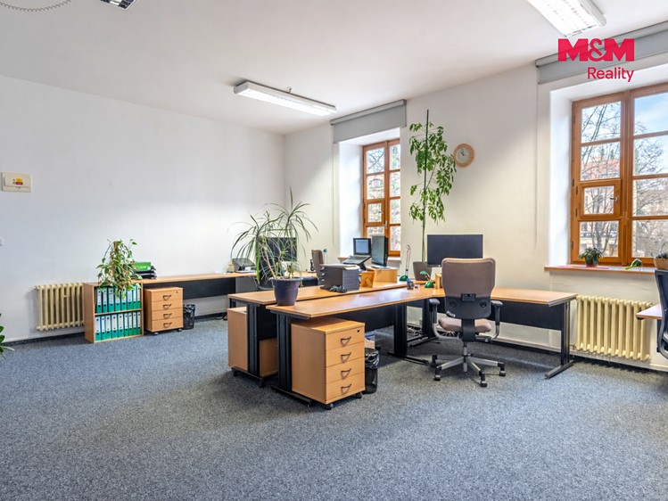 Prodej komerčního prostoru, 615 m² (8 z 30)