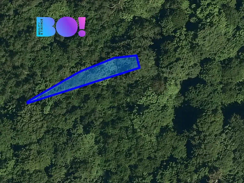 Prodej lesa 1752 m², Vsetín – náhled fotky 2
