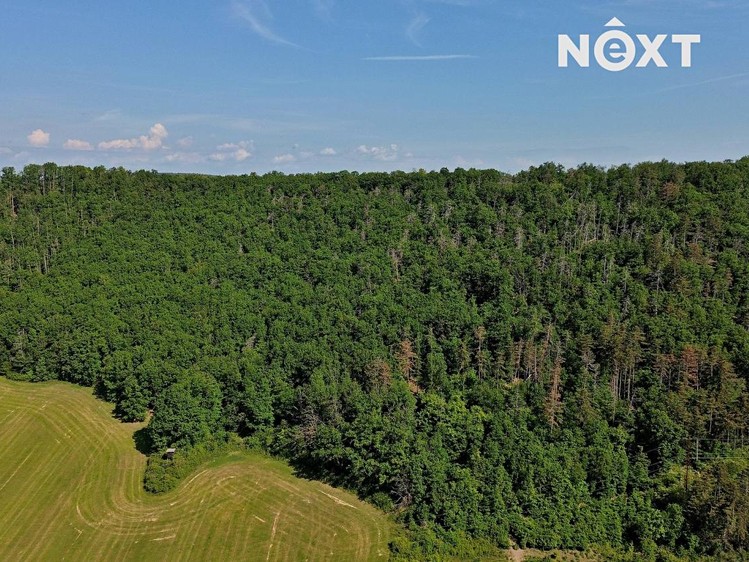 Grundstück zum Kauf, 3.149 m² (11 von 19)
