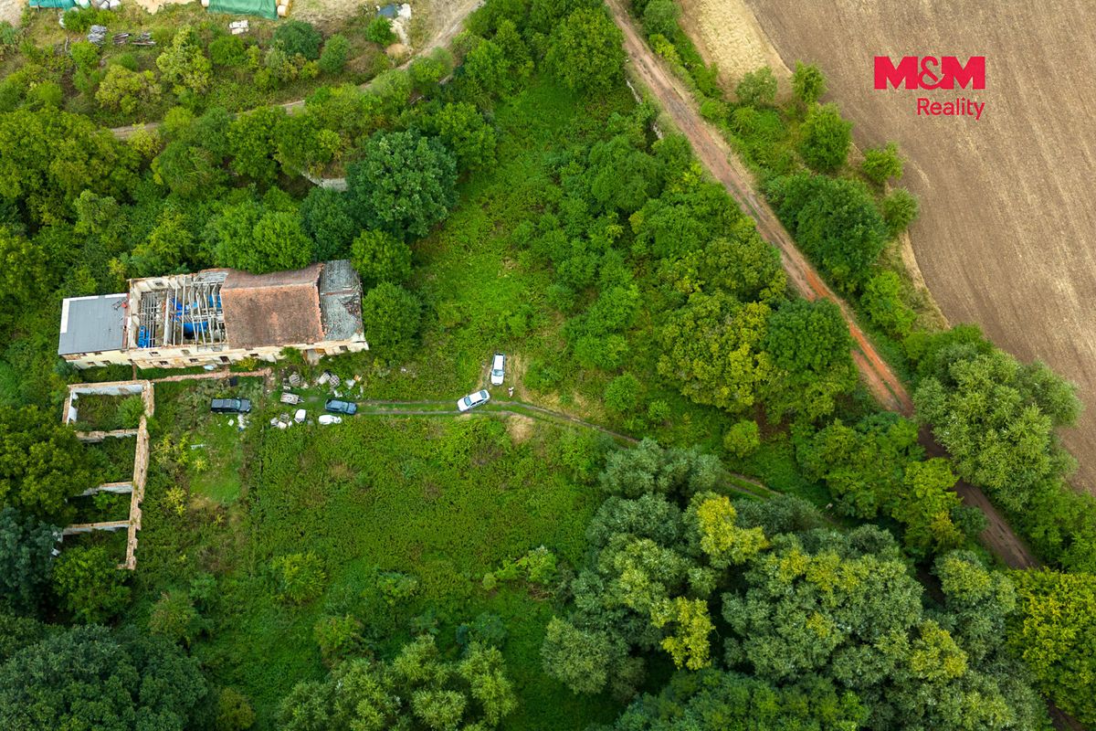 Prodej zemědělské usedlosti 700 m², pozemek 6813 m² – fotografie 3