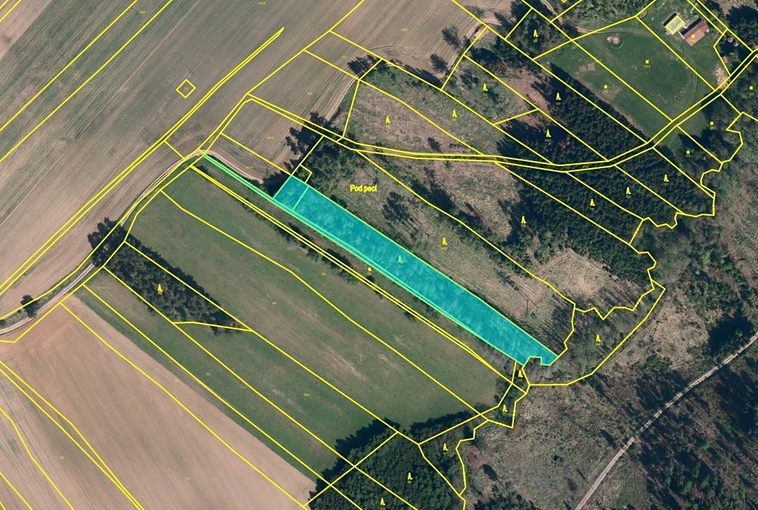 Prodej lesa 5221 m²