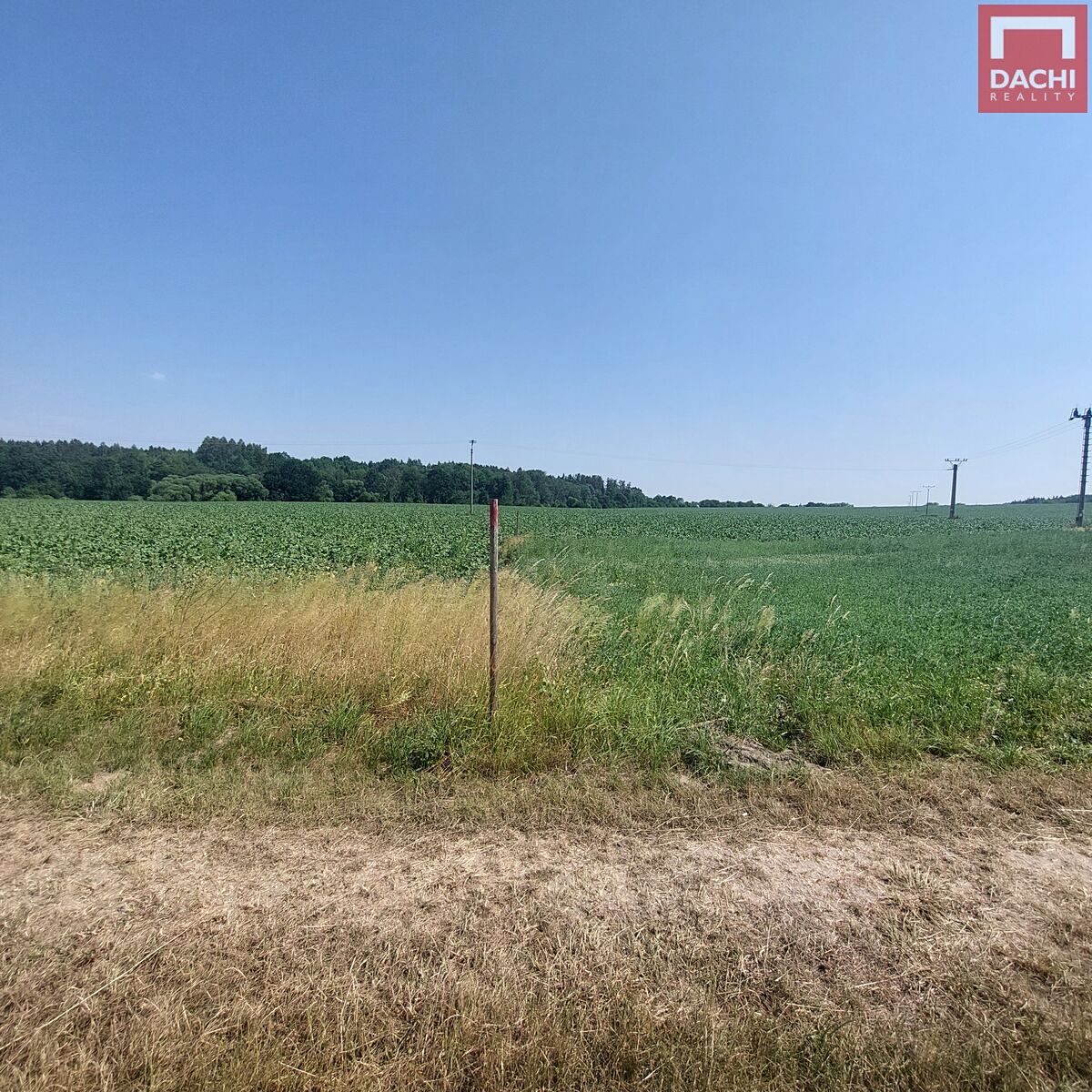 Prodej stavebního pozemku 32279 m² – fotografie 5