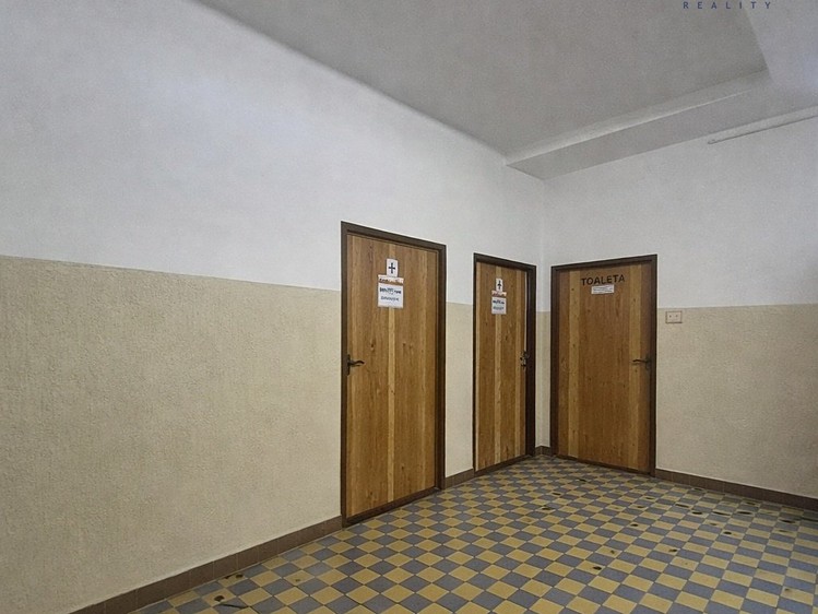 Pronájem komerčního prostoru, 225 m² (5 z 9)