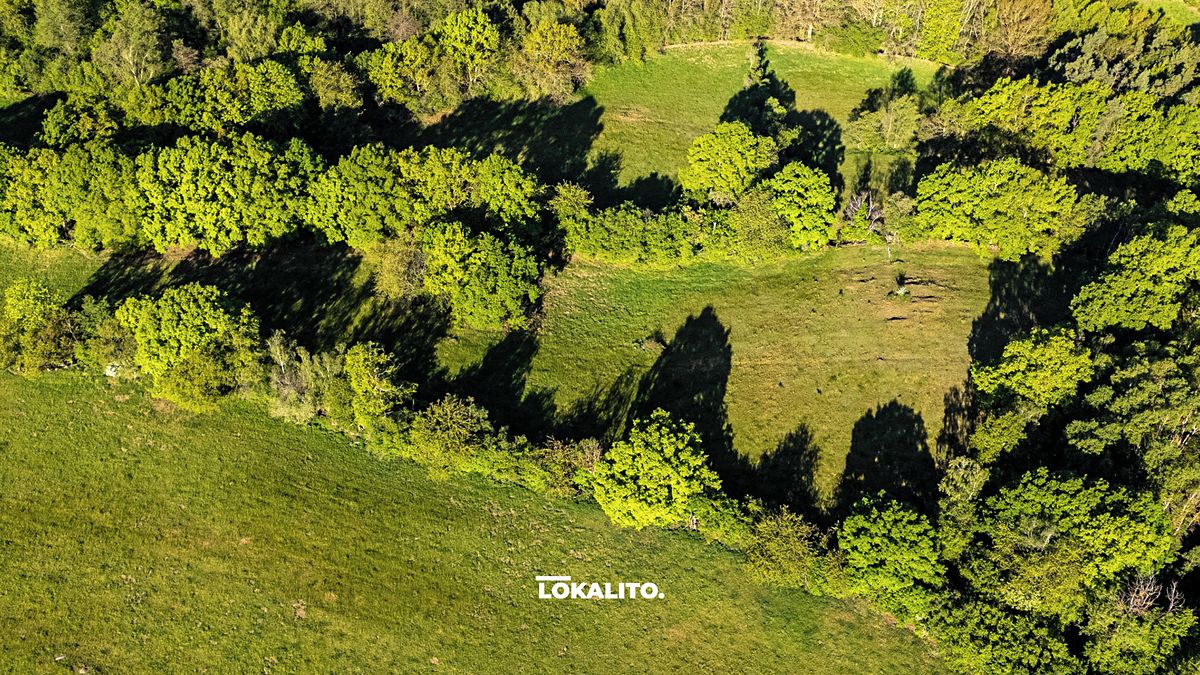 Prodej pole 10966 m² – fotografie 4