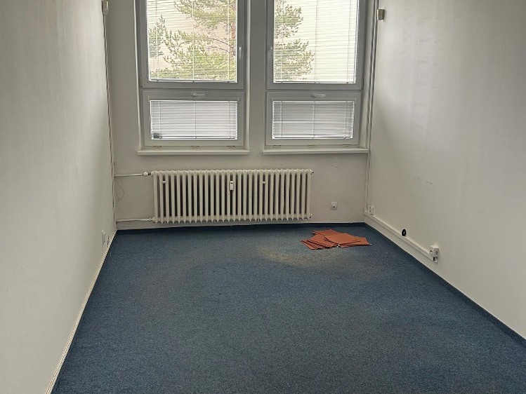 Pronájem komerčního prostoru, 107 m² (13 z 22)