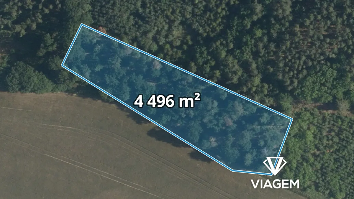 Prodej lesa 4496 m²