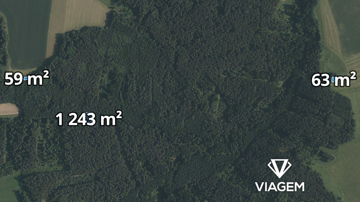 Prodej lesa 1365 m², Římov – fotka 1 z 3