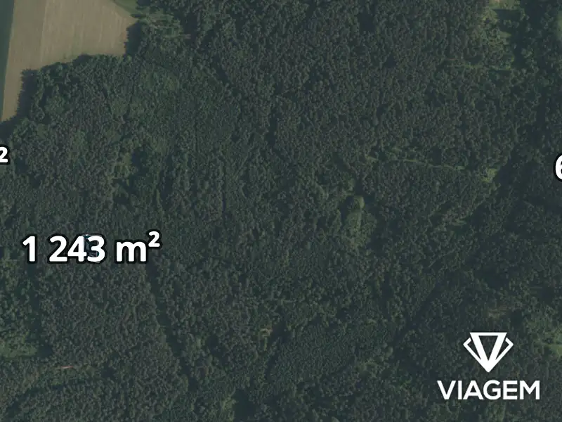 Prodej lesa 1365 m², Římov – náhled fotky 1