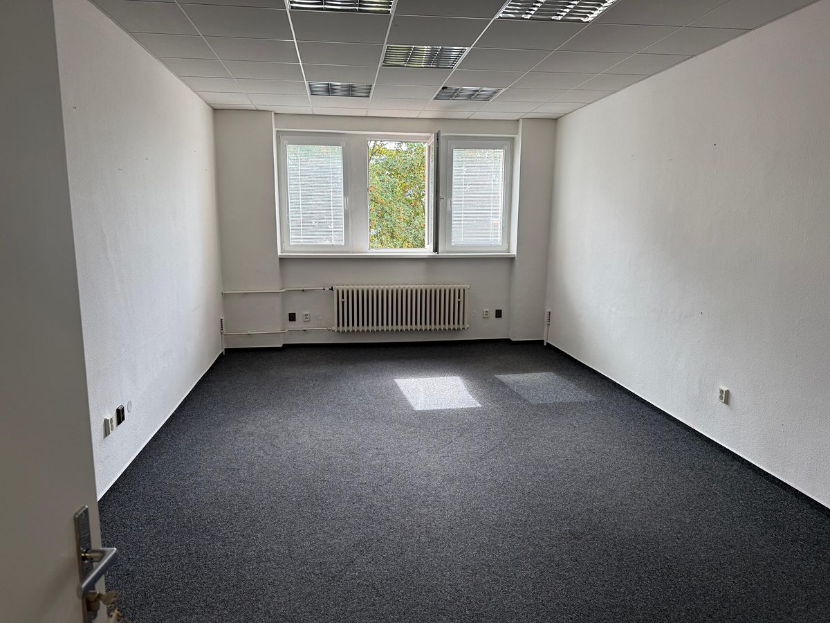 Pronájem kanceláře 370 m² – fotografie 3