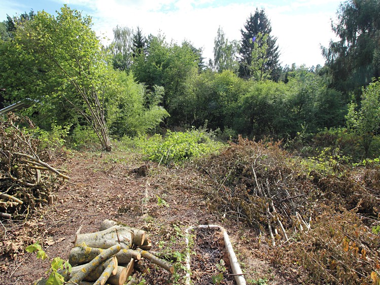 Prodej pozemku, 1 000 m² (1 z 11)