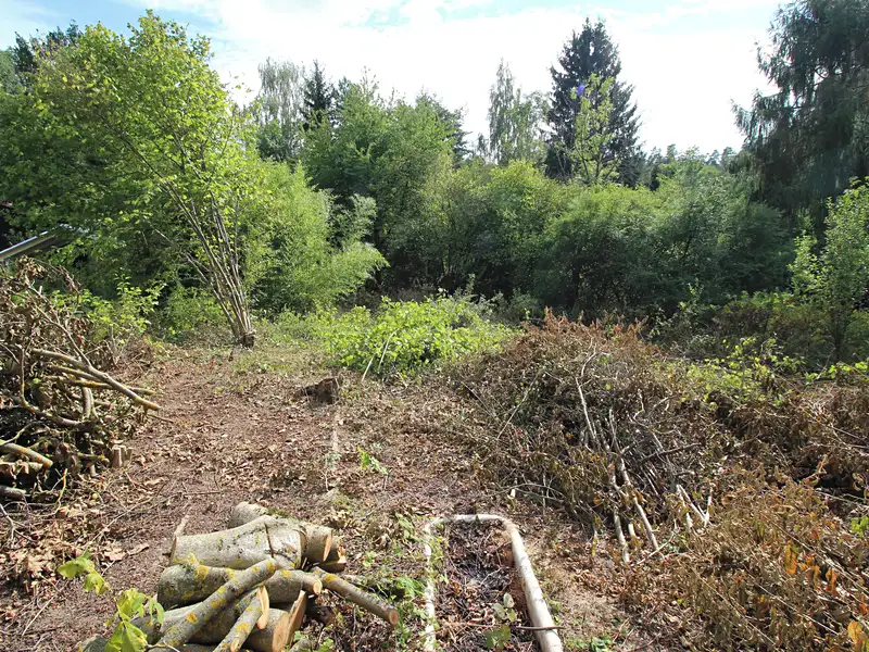 Prodej stavebního pozemku 1000 m², Psáry – náhled fotky 1