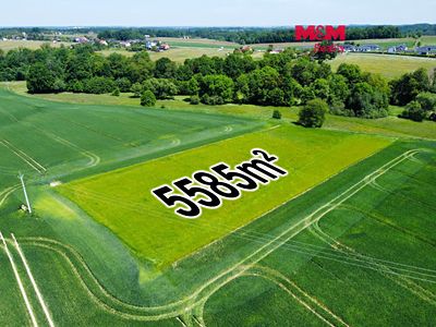 Prodej pole 5585 m²