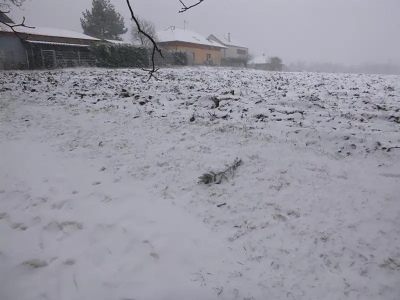 Dražba pole 1638 m², Škvorec – náhled fotky 1