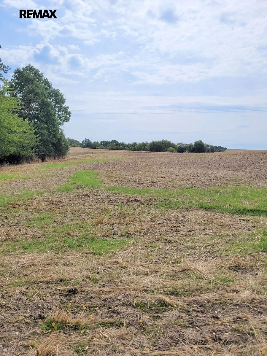Fotka 25 z 26