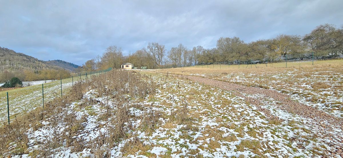 Prodej stavebního pozemku 11562 m² – fotografie 3