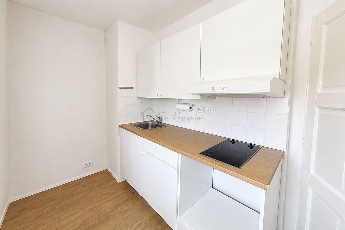 Pronájem bytu 1+kk 28 m² – fotografie 3