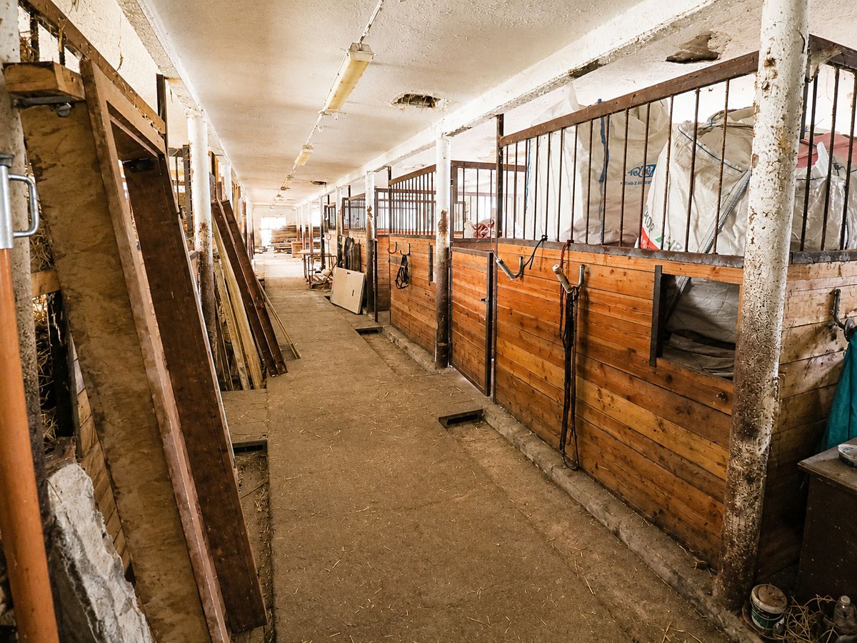 Pronájem zemědělského objektu 1030 m² – fotografie 3