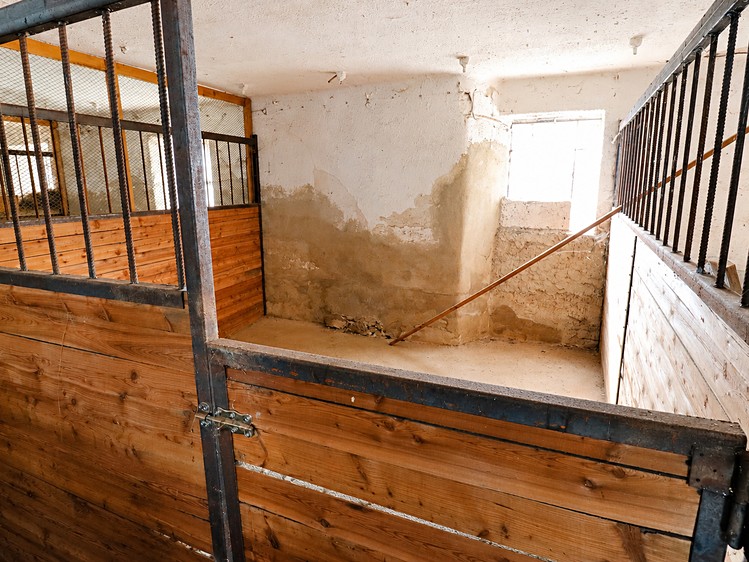 Prodej komerčního prostoru, 1 030 m² (4 z 7)