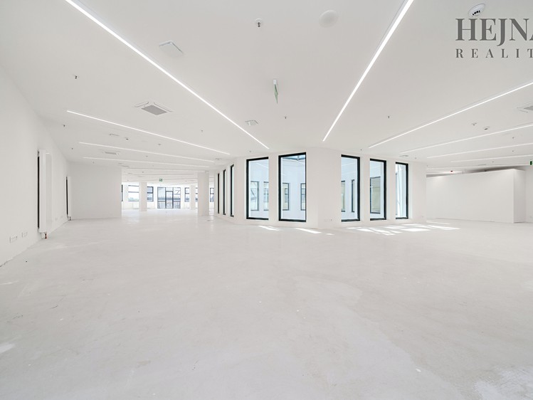 Pronájem komerčního prostoru, 802 m² (2 z 20)