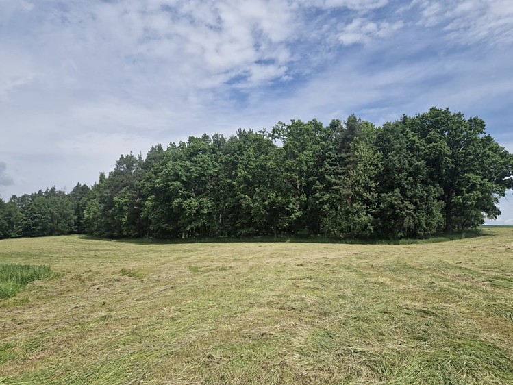 Grundstück zum Kauf, 4.924 m² (1 von 9)