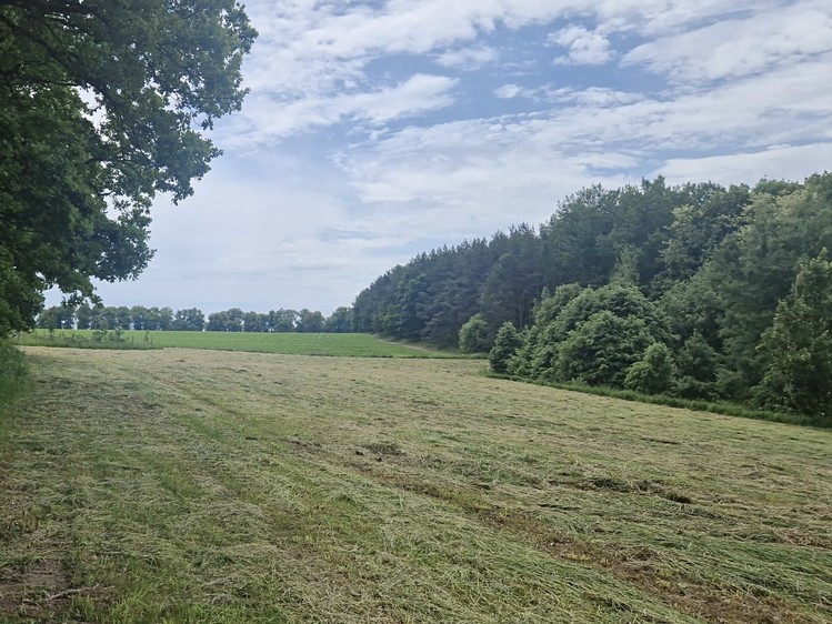 Grundstück zum Kauf, 4.924 m² (5 von 9)