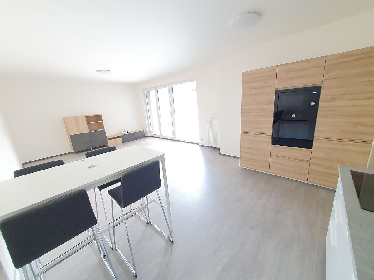 Pronájem bytu 1+kk 45 m²