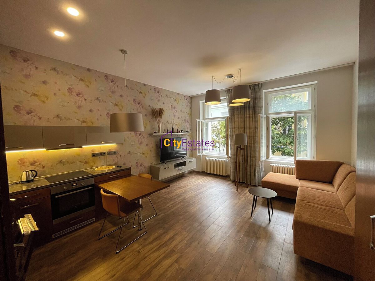 Pronájem bytu 1+kk 52 m²