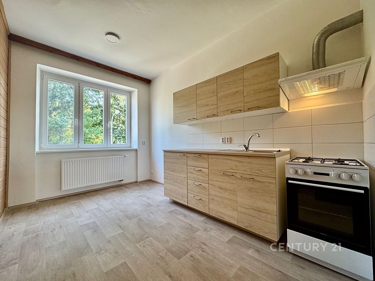 Pronájem bytu 1+1 40 m²