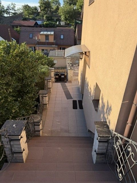 Prodej rodinného domu 300 m², pozemek 1102 m² – fotografie 4