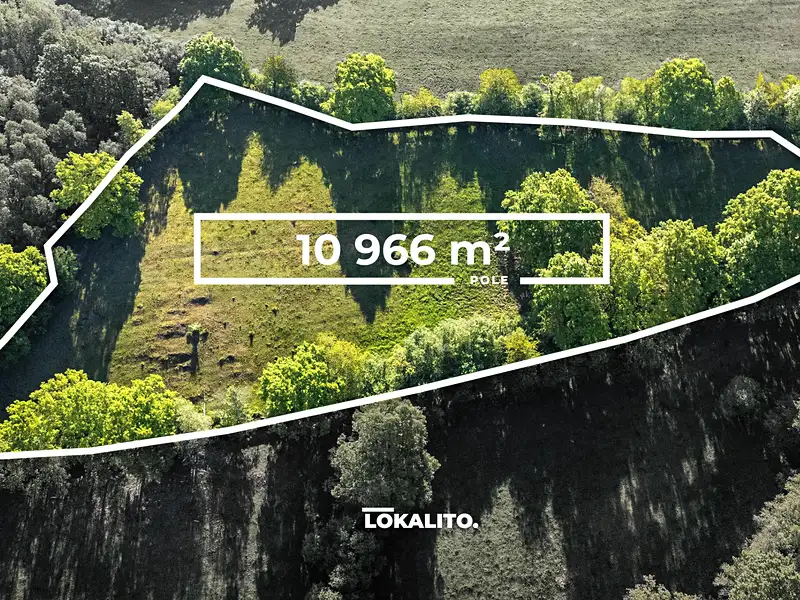 Prodej pole 10966 m², Nechvalice – náhled fotky 1