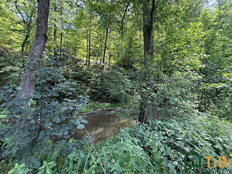 Prodej pozemku, 3 200 m² (3 z 9)