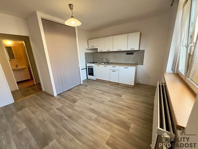 Pronájem bytu 1+1 35 m²