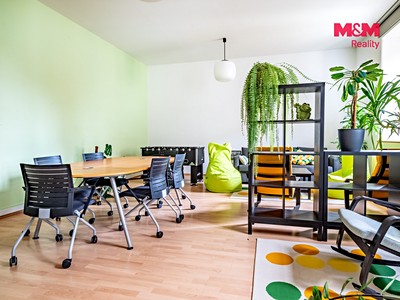 Prodej komerčního prostoru, 615 m² (3 z 30)
