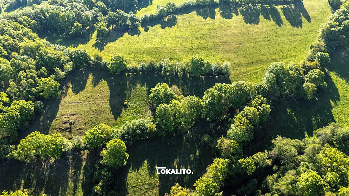 Prodej pole 10966 m² – fotografie 5