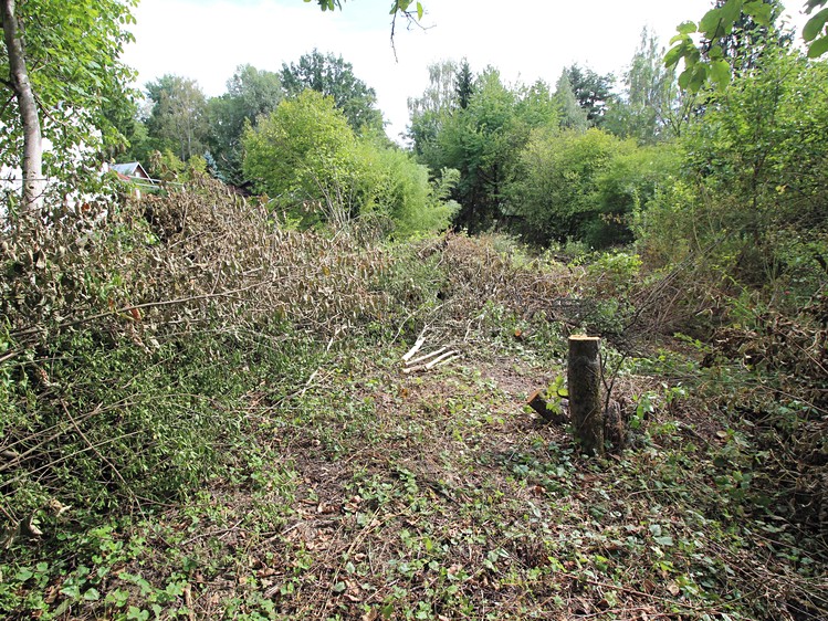 Prodej pozemku, 1 000 m² (7 z 11)
