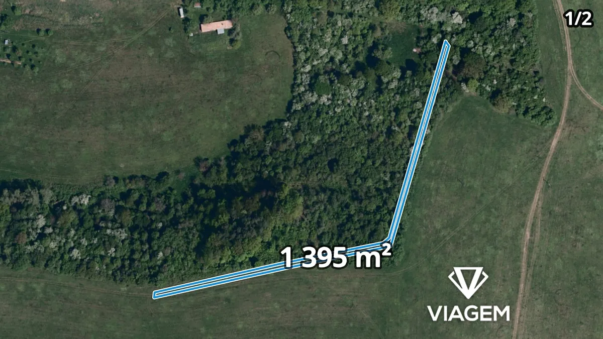 Prodej podílu 1/2 lesa 4655 m²