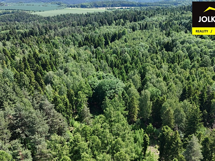 Grundstück zum Kauf, 13.182 m² (11 von 15)