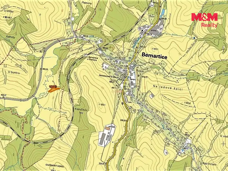 Prodej louky 2455 m², Bernartice – náhled fotky 2
