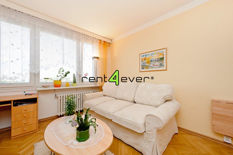 Pronájem bytu 1+kk 24 m² – fotografie 2
