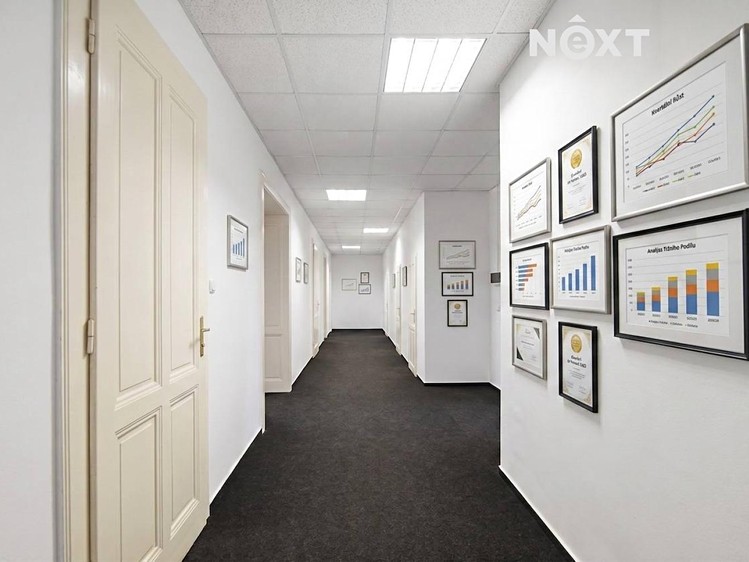 Pronájem komerčního prostoru, 304 m² (11 z 21)