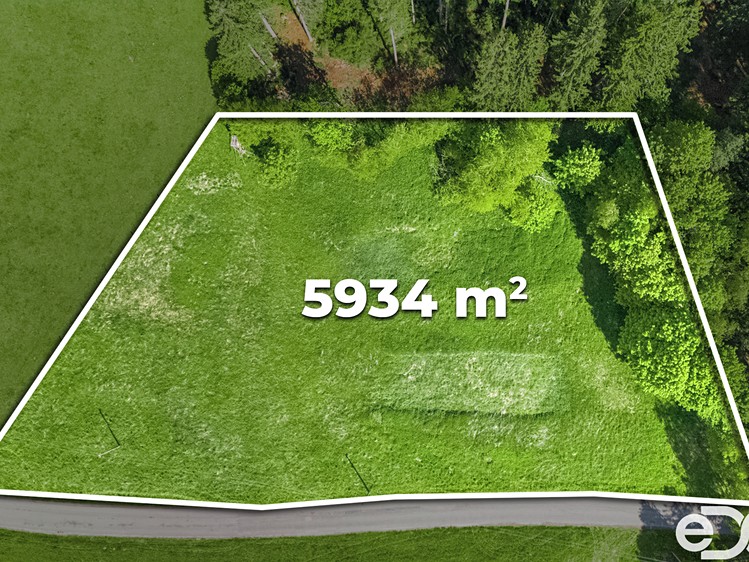 Prodej pozemku, 5 934 m² (5 z 14)