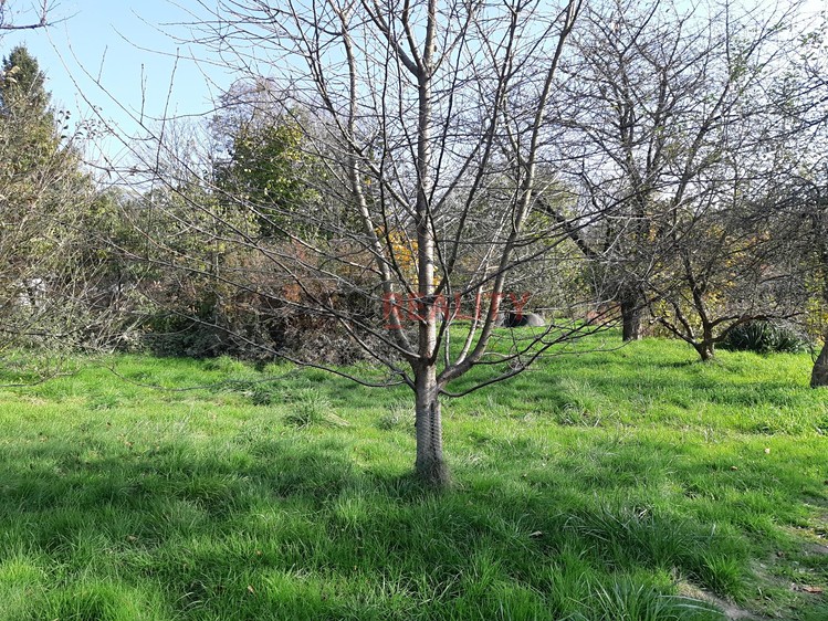 Grundstück zum Kauf, 1.062 m² (2 von 8)