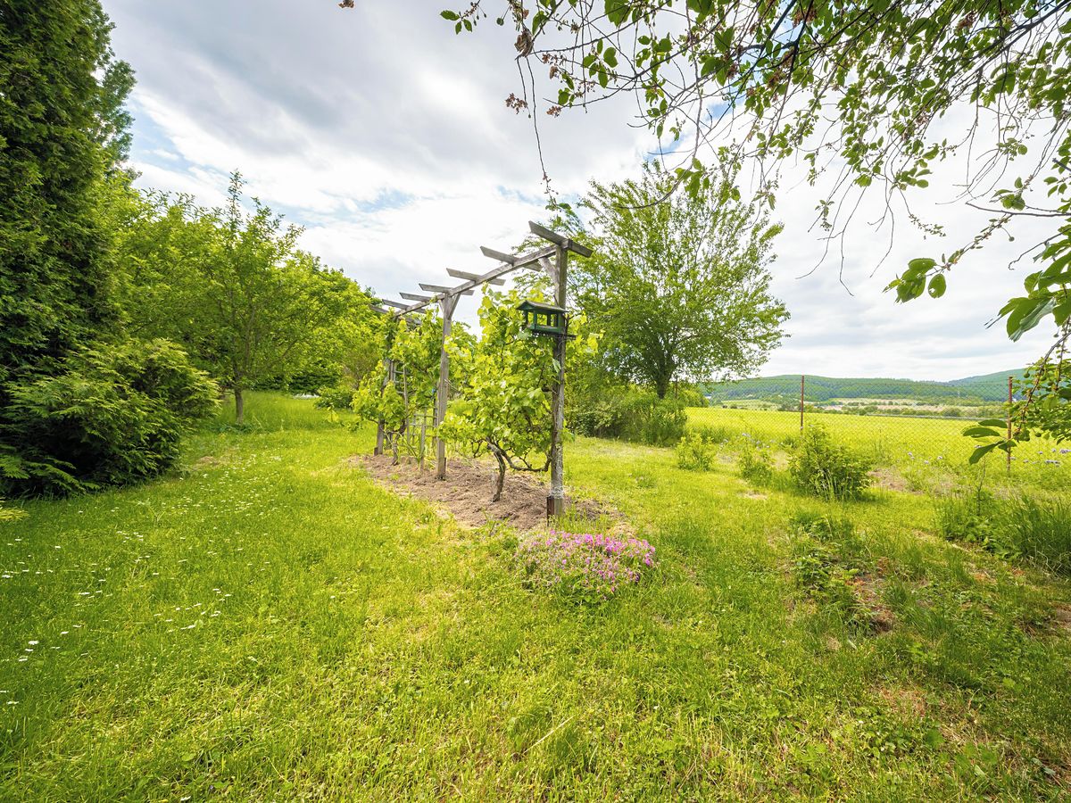 Pronájem zahrady 508 m² – fotografie 2